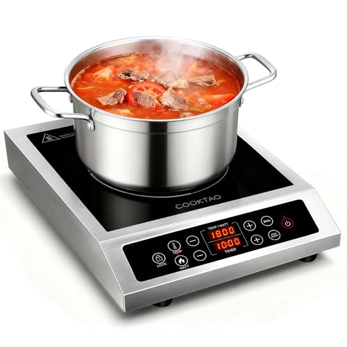 1800W Stainless Steel Induction Cooktop Single Burner