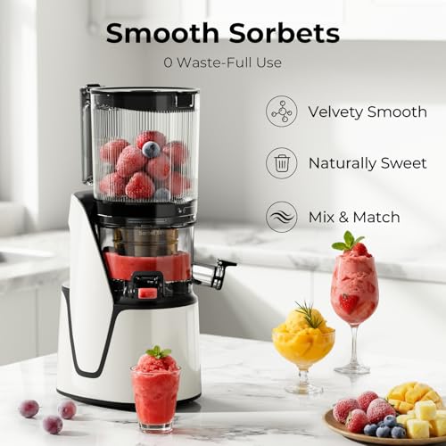3 in 1 Cold Press Juicer Slow Masticating Juicer