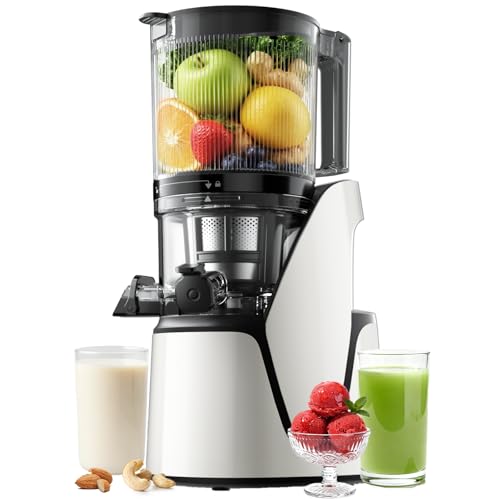 3 in 1 Cold Press Juicer Slow Masticating Juicer