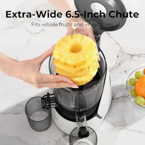 3 in 1 Cold Press Juicer Slow Masticating Juicer