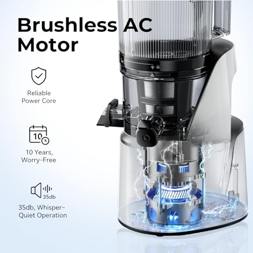 3 in 1 Cold Press Juicer Slow Masticating Juicer