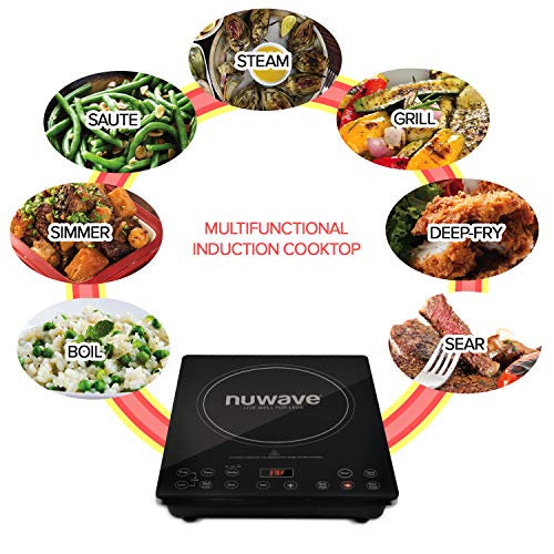 Portable Induction Cooktop Digital Countertop Burner