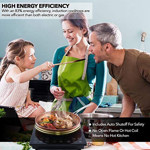 Portable Induction Cooktop Digital Countertop Burner