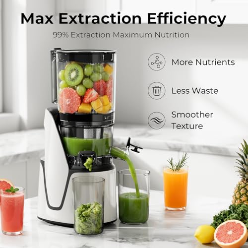 3 in 1 Cold Press Juicer Slow Masticating Juicer