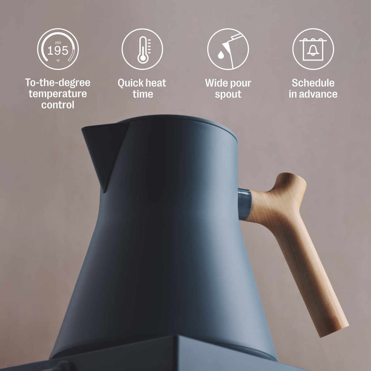 Electric Tea Kettle with Precision Temperature Control