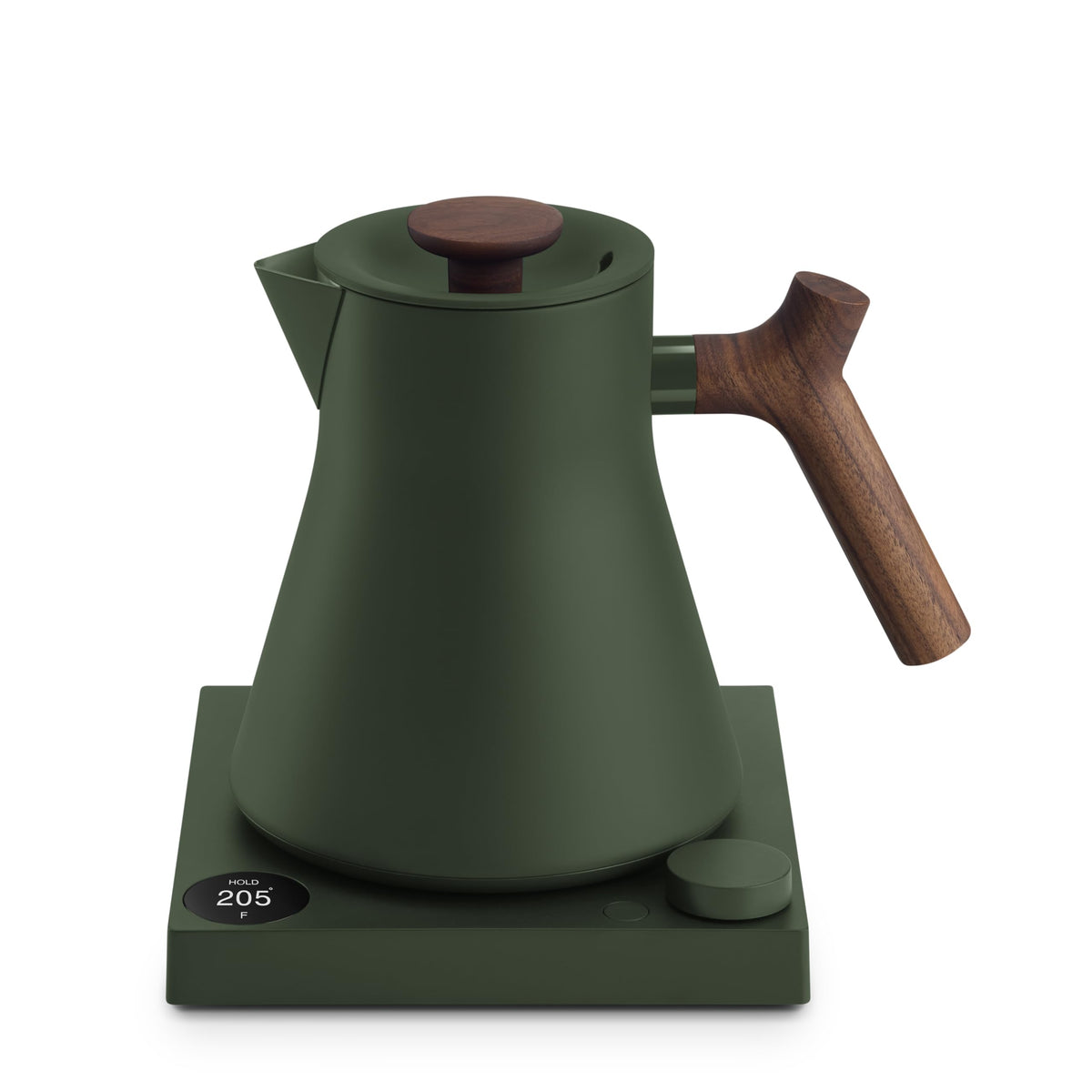 Electric Tea Kettle with Precision Temperature Control