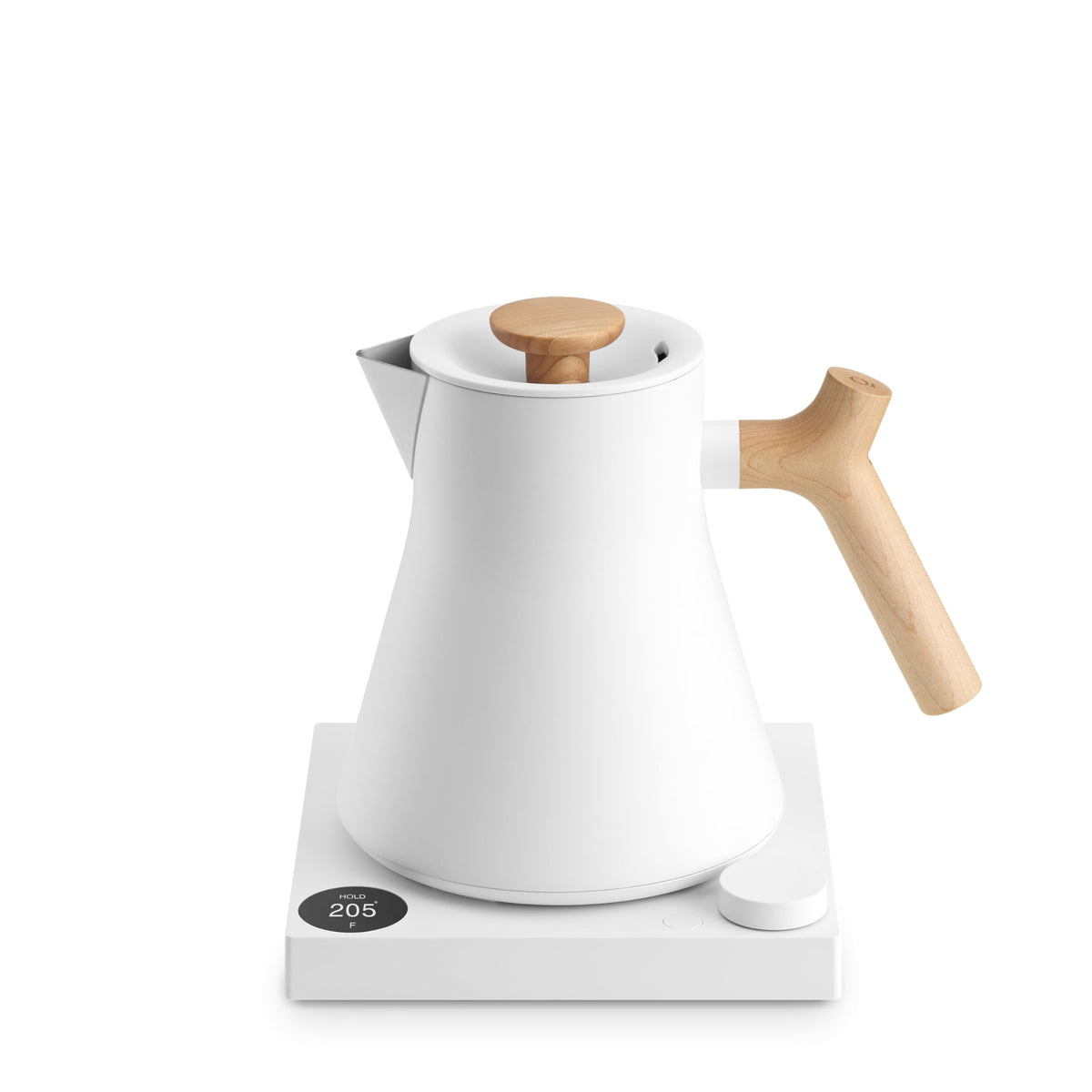 Electric Tea Kettle with Precision Temperature Control