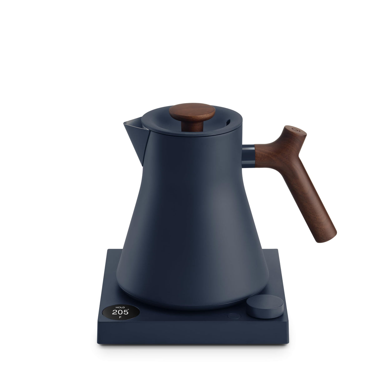 Electric Tea Kettle with Precision Temperature Control