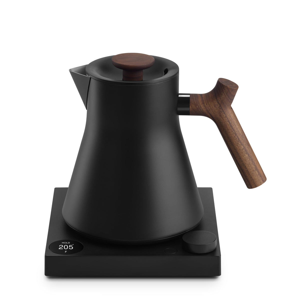 Electric Tea Kettle with Precision Temperature Control