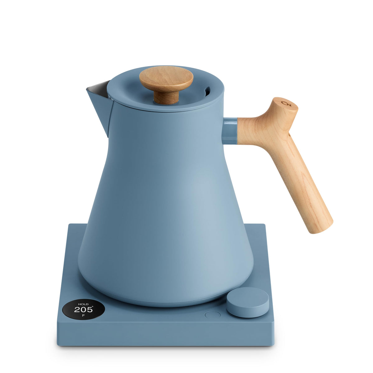 Electric Tea Kettle with Precision Temperature Control