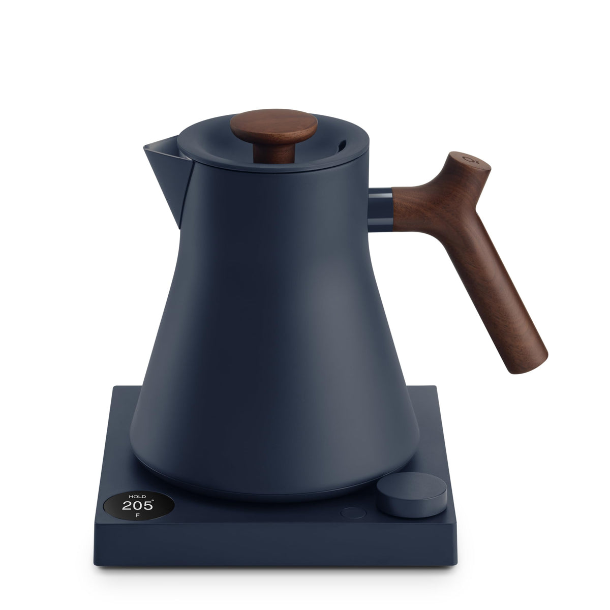 Electric Tea Kettle with Precision Temperature Control