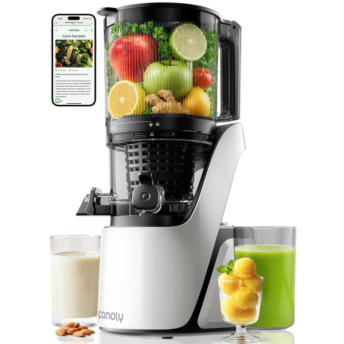 C16 Cold Press Juicer 3 in 1 Slow Masticating Juicer
