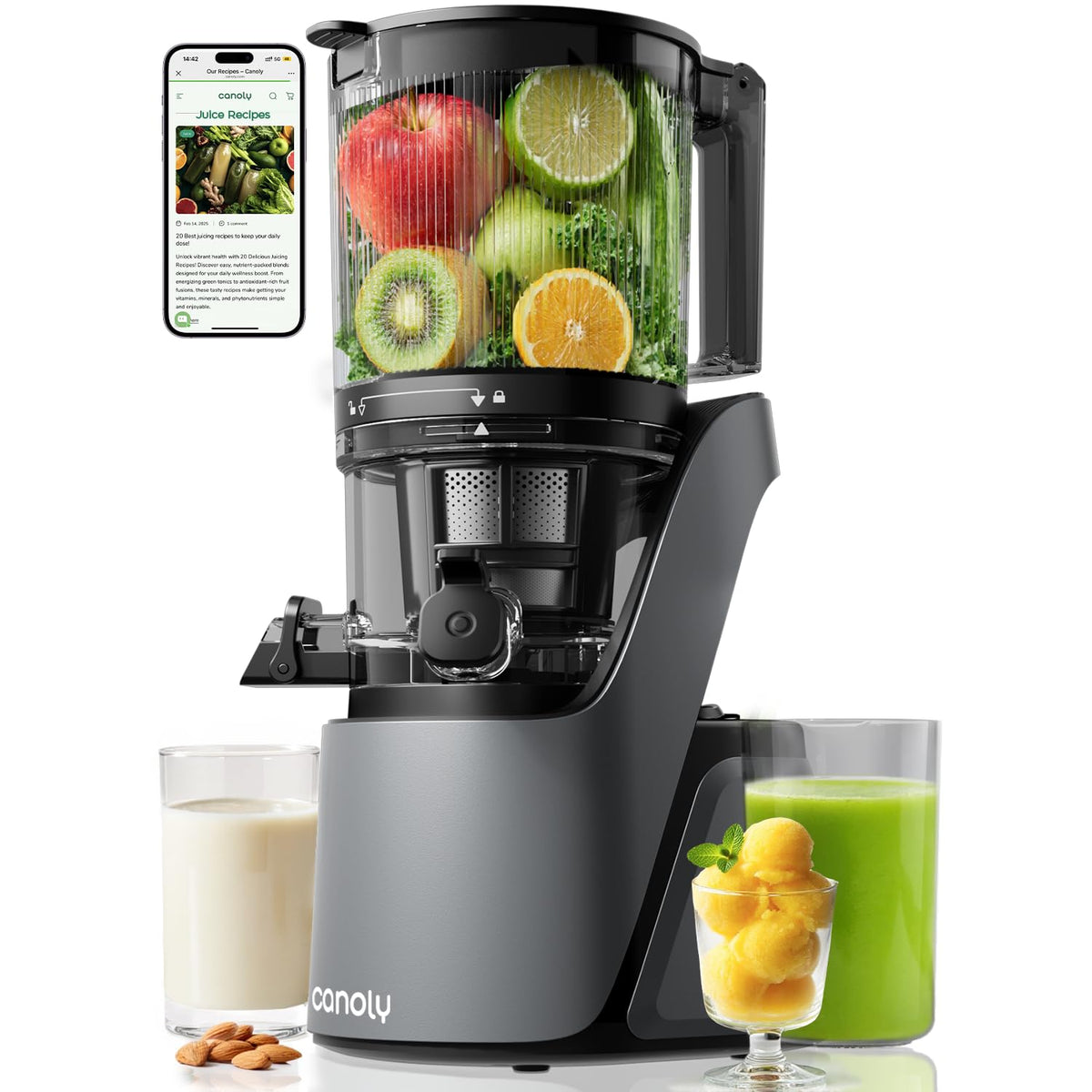 C16 Cold Press Juicer 3 in 1 Slow Masticating Juicer