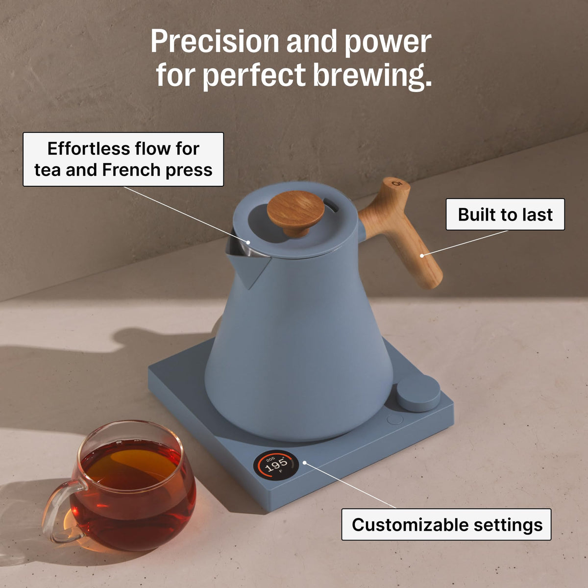 Electric Tea Kettle with Precision Temperature Control