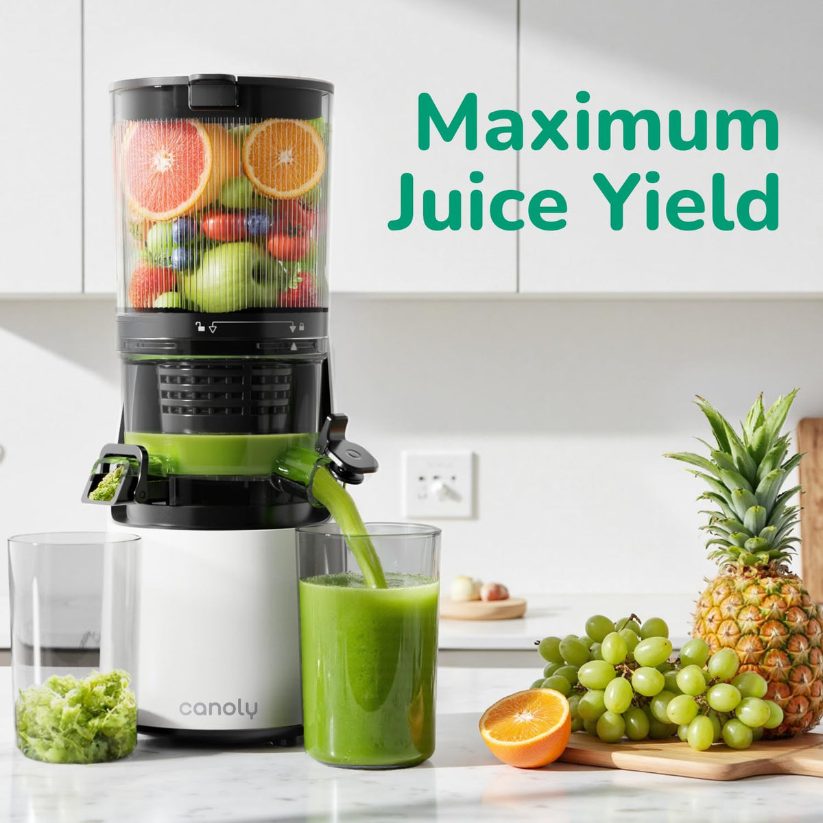 C16 Cold Press Juicer 3 in 1 Slow Masticating Juicer