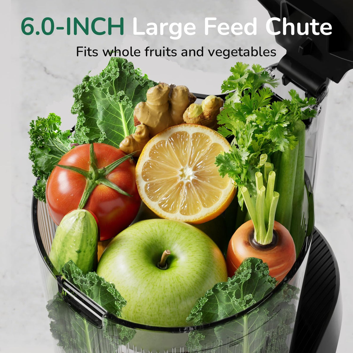 C16 Cold Press Juicer 3 in 1 Slow Masticating Juicer