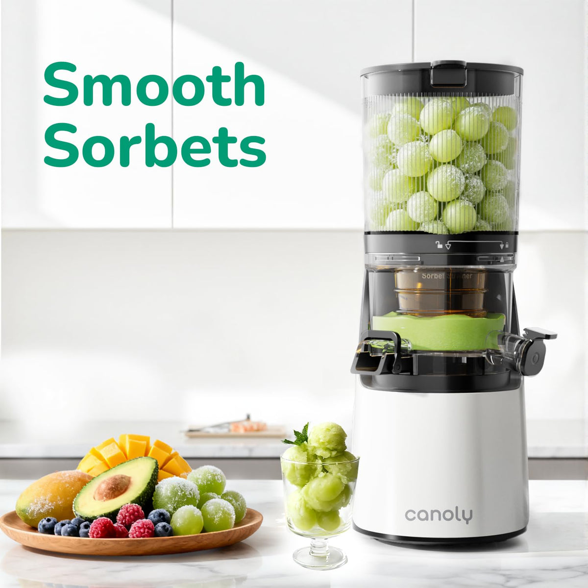 C16 Cold Press Juicer 3 in 1 Slow Masticating Juicer