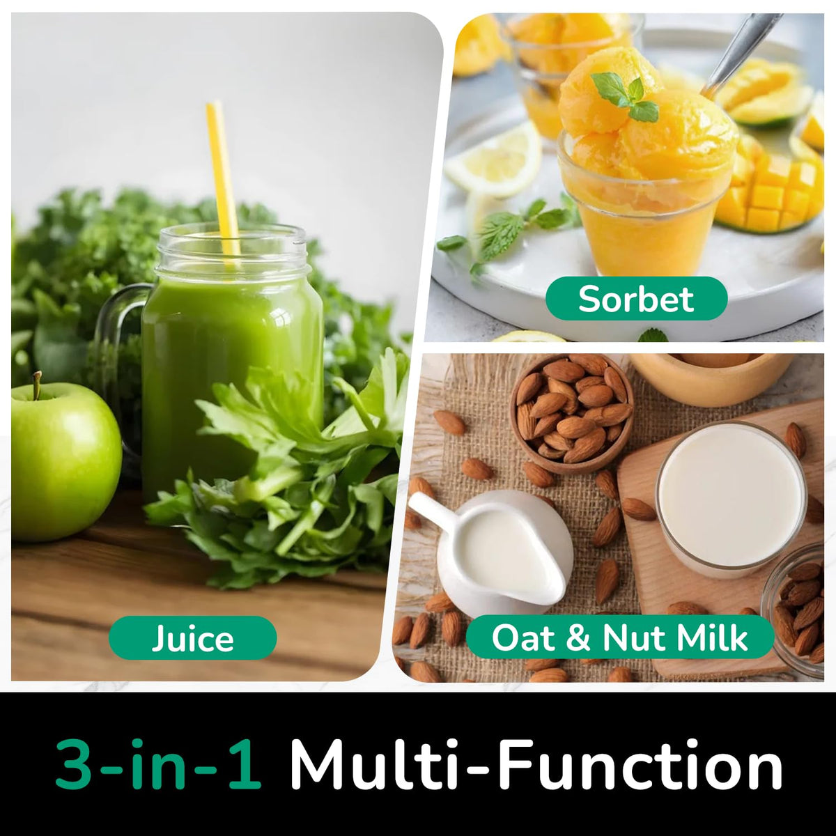 C16 Cold Press Juicer 3 in 1 Slow Masticating Juicer