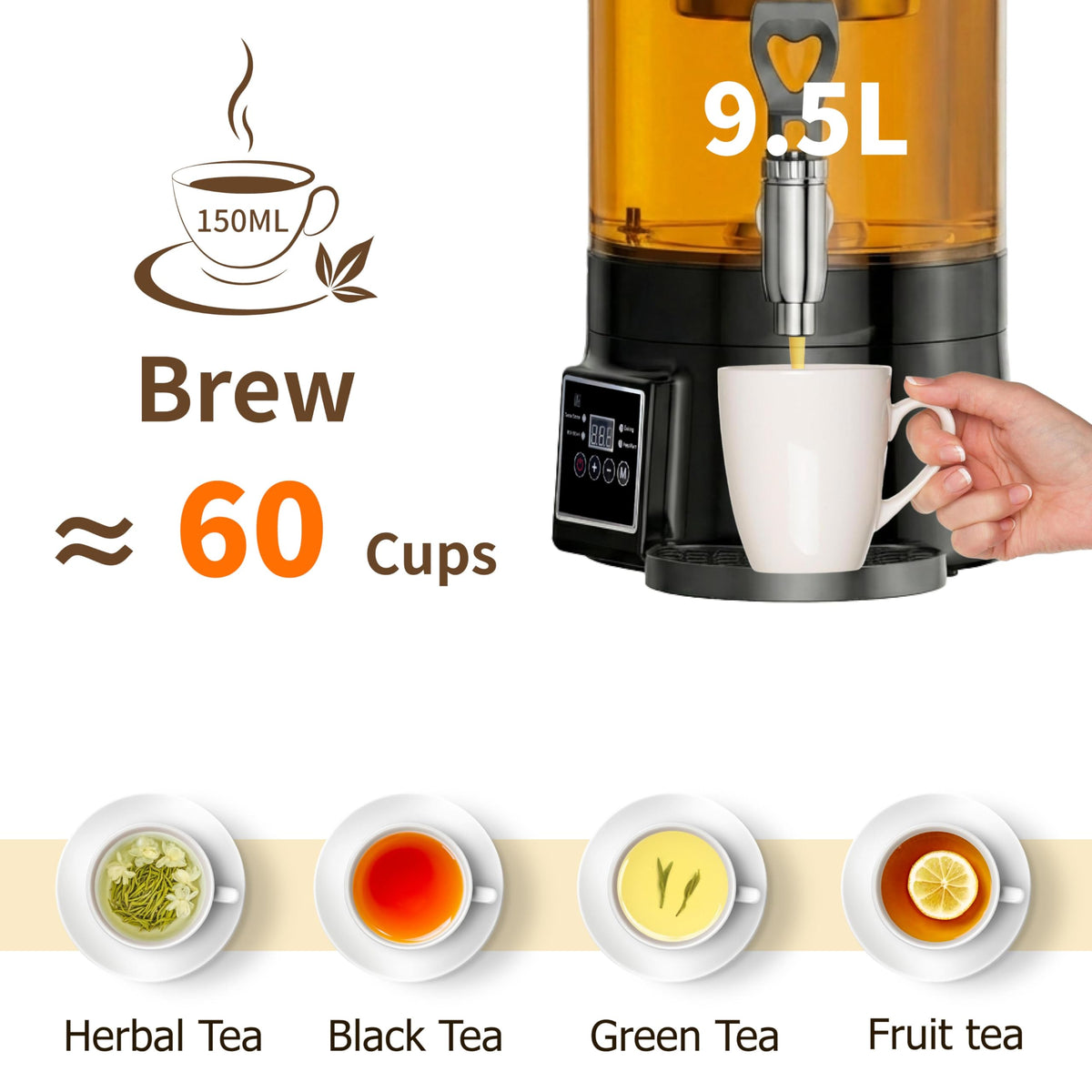 Electric Tea Maker with Hot Water Dispenser
