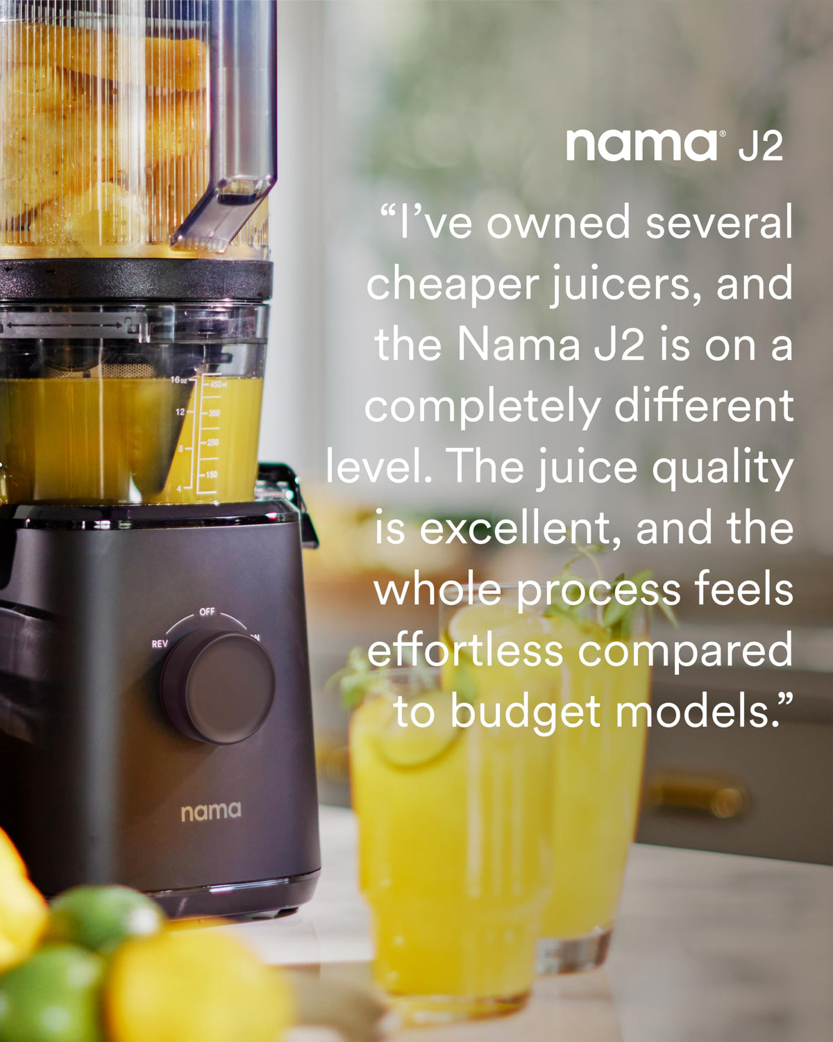 Self Feeding Cold Press Juicer Wide Mouth Masticating Juicer